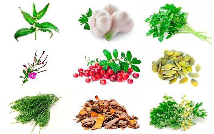 Народні засоби лікування простатиту